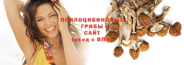 ГАЛЛЮЦИНОГЕННЫЕ ГРИБЫ Абаза