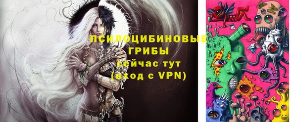 ГАЛЛЮЦИНОГЕННЫЕ ГРИБЫ Абаза