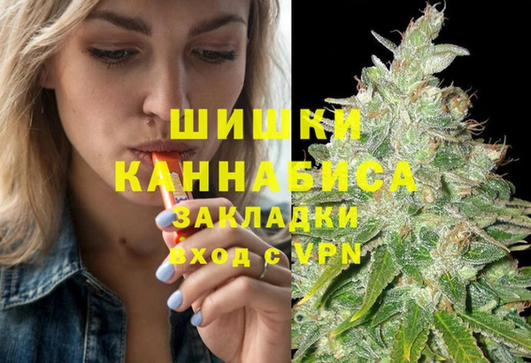 ГАЛЛЮЦИНОГЕННЫЕ ГРИБЫ Абаза