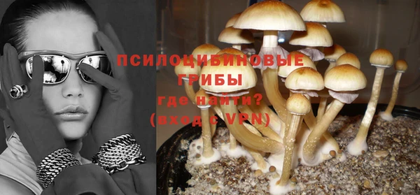 ПСИЛОЦИБИНОВЫЕ ГРИБЫ Абдулино