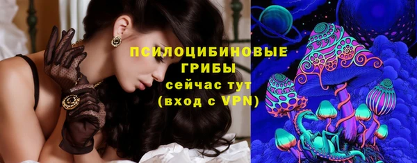 ГАЛЛЮЦИНОГЕННЫЕ ГРИБЫ Абаза