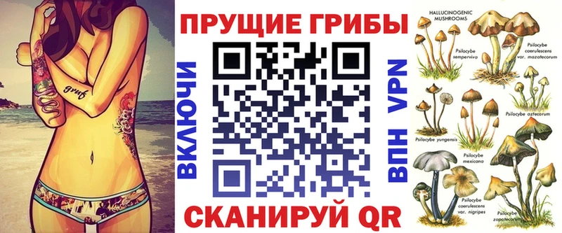 Псилоцибиновые грибы MAGIC MUSHROOMS ОМГ ОМГ как зайти Вичуга